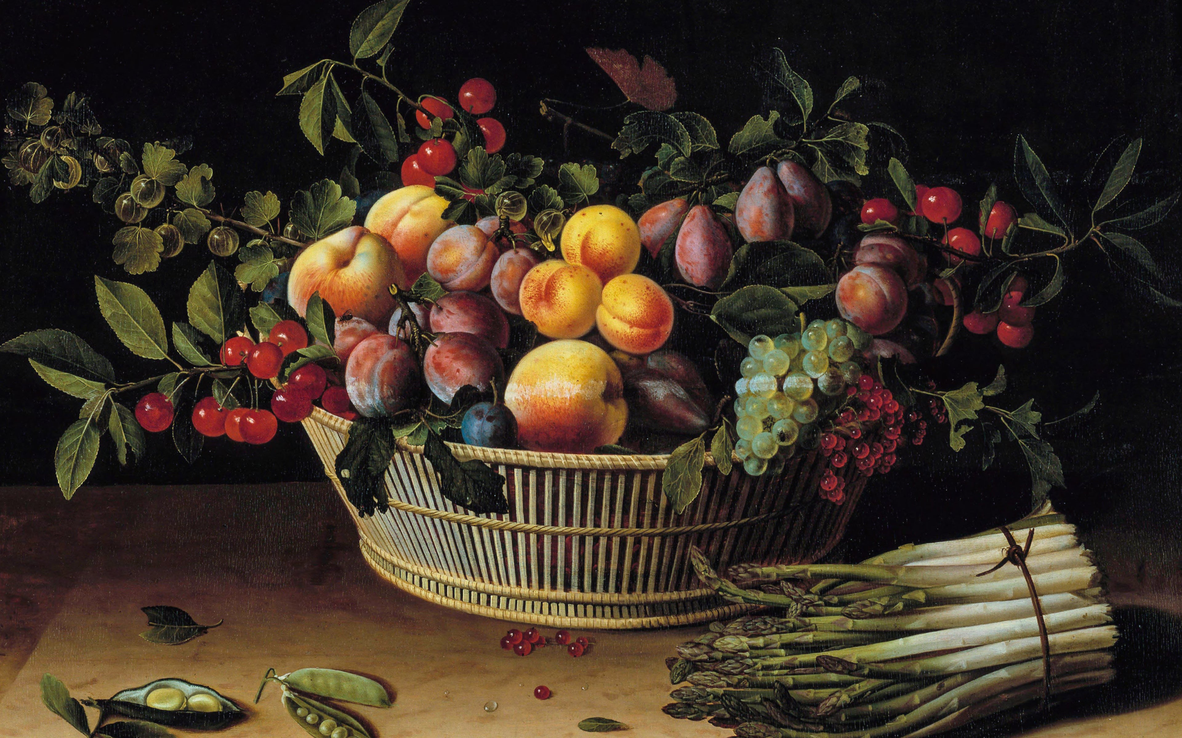 Flora